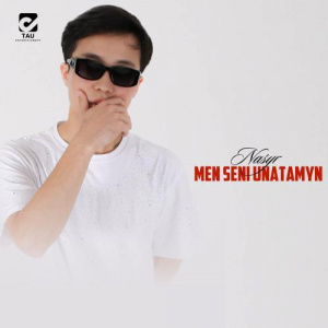 Песня Nasyr – Men seni unatamyn