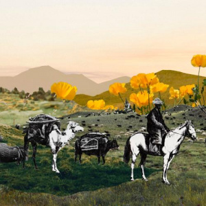 Песня Aidhn – Бәйшешек