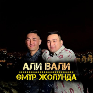 Песня Али Вали – Өмүр Жолунда