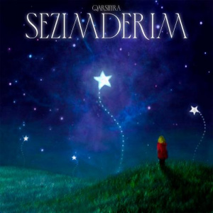 Песня QARSHYGA – Sezimderim