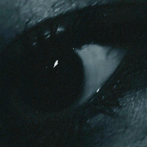 Песня jūldyz bala – qalaimyn