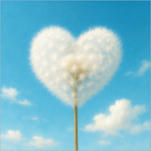 Песня Aibek – Sui janym