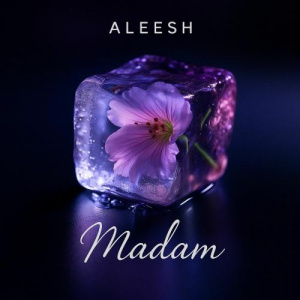 Песня Aleesh – Madam