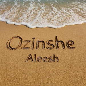 Песня Aleesh – Ozinshe