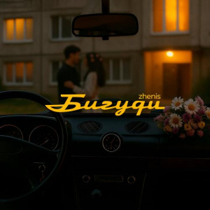 Песня Zhenis – Бигуди