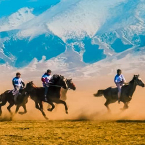 Песня Елдос Үмбетәлі – Ұлы дала арғымақтары