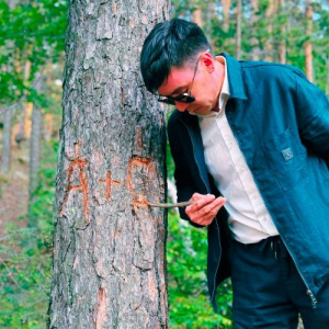 Песня Seila – Ағаштың өміріне қызығамын