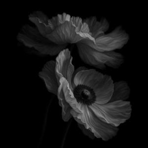 Песня Mars&Sea – Senıñ jüregıñe