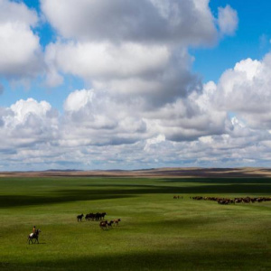 Песня Президенттік оркестр – Күй
