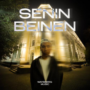 Песня Waysberg Music – Senin Beinen
