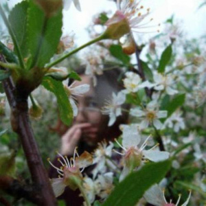 Песня D'Lara – kasyma kelşı