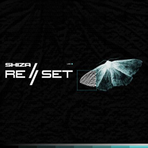 Песня Shiza – OK (Live, Remix)