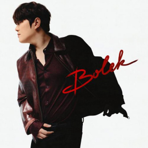 Песня ACE – Bolek