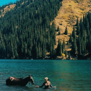 Песня Akkyz – Жалғыз калсаң