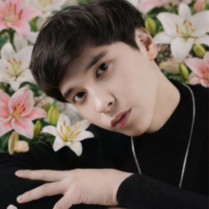 Песня Aibek Baktybek – Лала Гүлдер