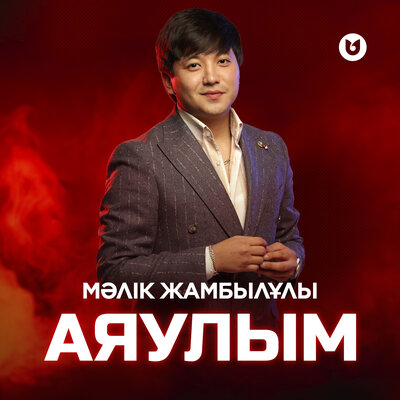 Песня Мәлік Жамбылұлы – Аяулым