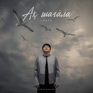 Песня Ержан Максим – Ақ шағала