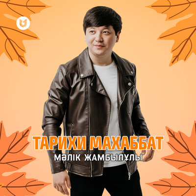 Песня Мәлік Жамбылұлы – Тарихи махаббат