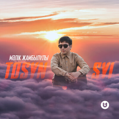 Песня Мәлік Жамбылұлы – Tosyn Syi