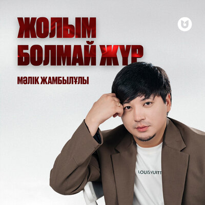 Песня Мәлік Жамбылұлы – Жолым болмай жүр