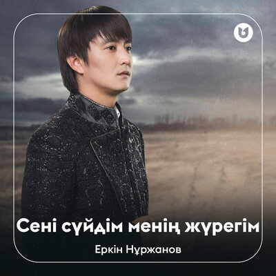 Песня Еркін Нұржанов – Сені сүйдім менің жүрегім