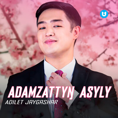 Песня Adilet Jaygashar – Adamzattyŋ Asyly