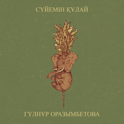 Песня Гүлнұр Оразымбетова – Сүйемін құлай