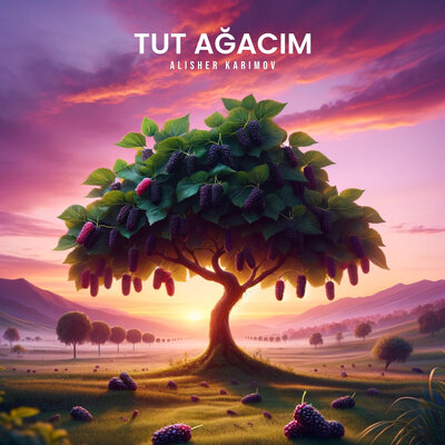 Песня Alisher Karimov – Tut Ağacim