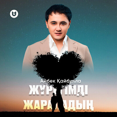 Песня Айбек Қайбулла – Жүрегімді жараладың