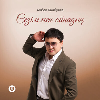 Песня Айбек Қайбулла – Сезіммен ойнадың