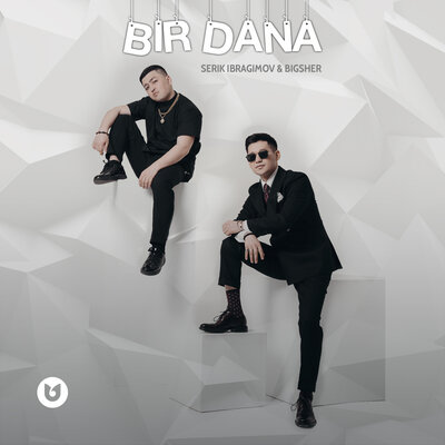 Песня Серік Ибрагимов & BIGSHER – Bir Dana