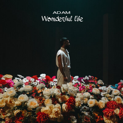 Песня ADAM – Wonderful life